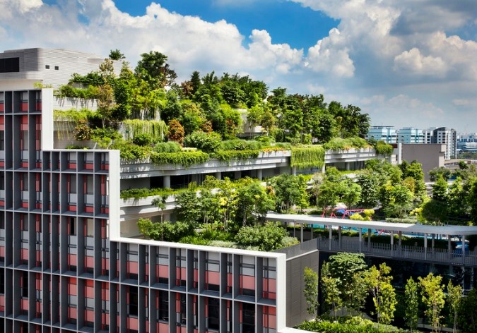 Singapore phủ xanh thành phố ra sao?